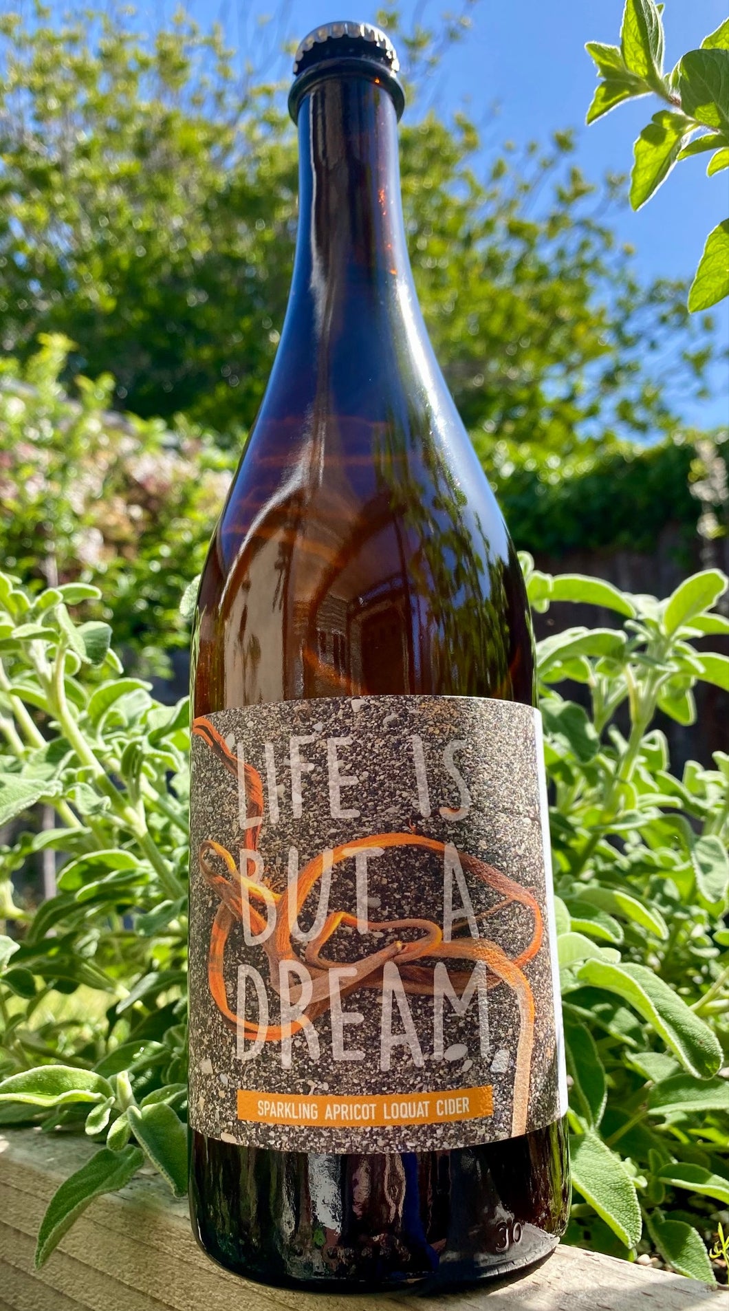 Life is But a Dream (apple/apricot/loquat)
