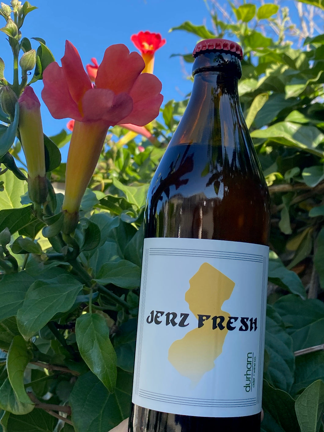 Jerz Fresh (apples)